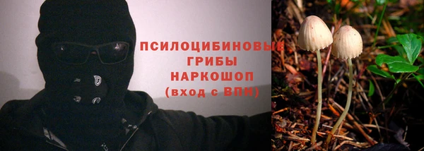 марихуана Баксан