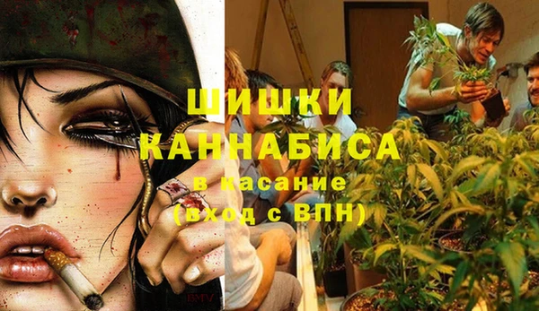 мдпв Балахна