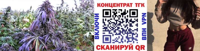 ТГК вейп с тгк  как найти   Хасавюрт 