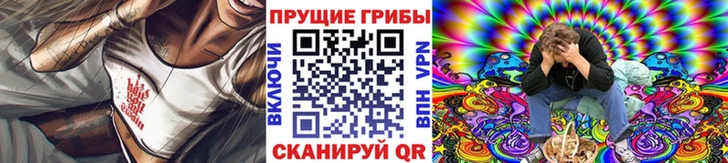 продажа наркотиков  Хасавюрт  Галлюциногенные грибы прущие грибы 